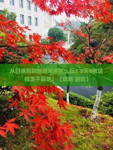日喀则去新疆禾木哪里玩