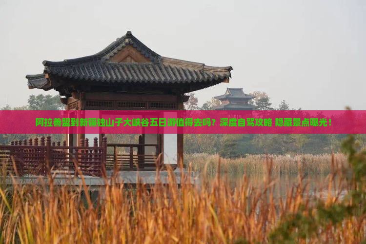 阿拉善盟到新疆独山子大峡谷五日游