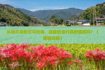 哈尔滨去新疆可可托海自由行