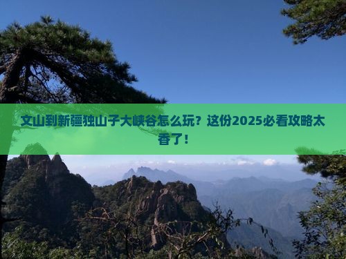 文山到新疆独山子大峡谷哪里玩