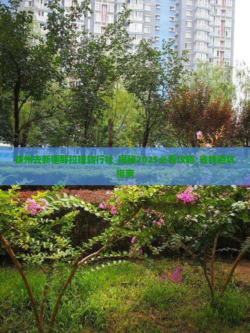 徐州去新疆那拉提旅行社