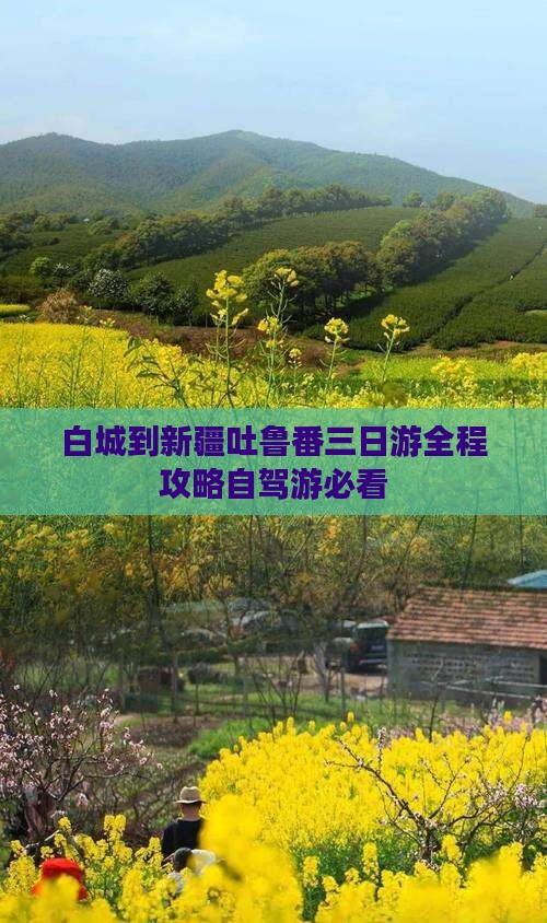 白城到新疆吐鲁番三日游