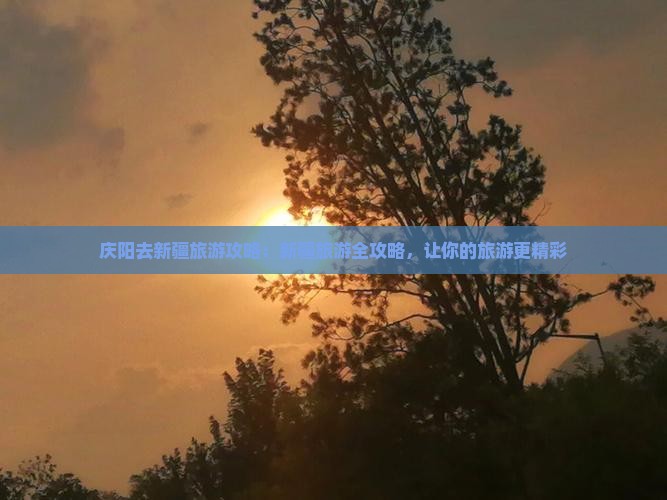 庆阳去新疆旅游