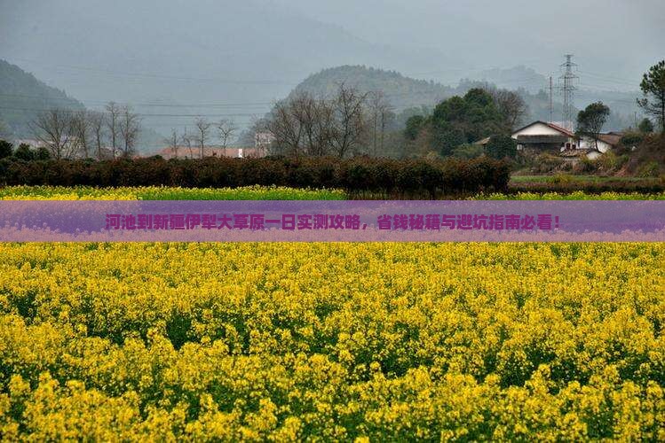 河池到新疆伊犁大草原一日