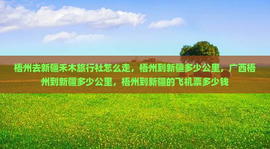 梧州去新疆禾木旅行社