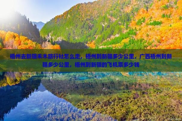 梧州去新疆禾木旅行社