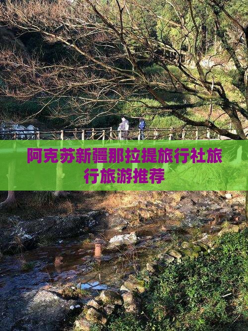 阿克苏去新疆那拉提旅行社