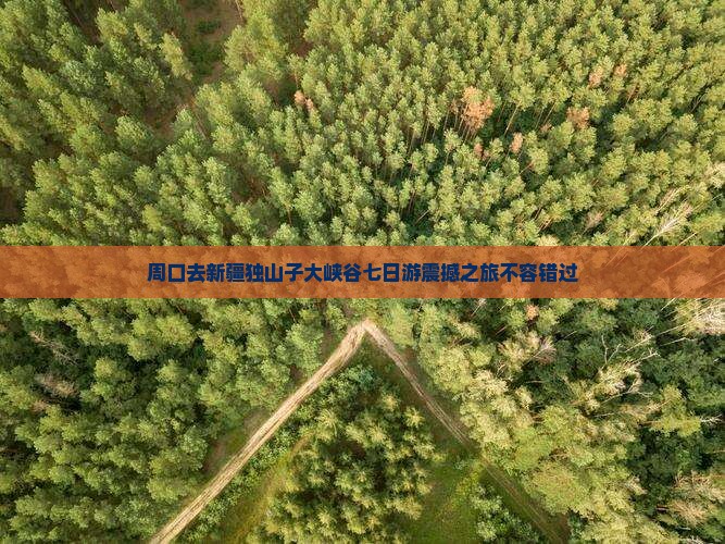 周口去新疆独山子大峡谷七日游
