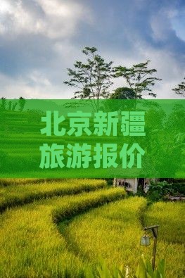 北京去新疆团体旅游