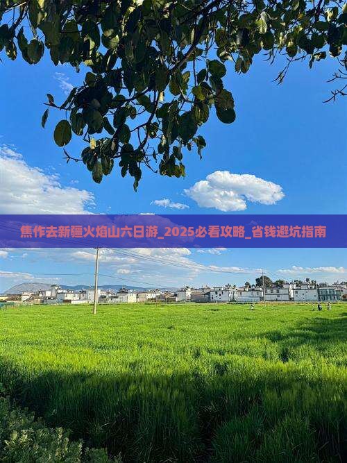 焦作去新疆火焰山六日游
