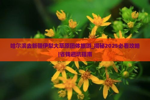 哈尔滨去新疆伊犁大草原团体旅游