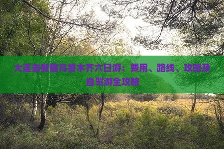 大连去新疆乌鲁木齐六日游