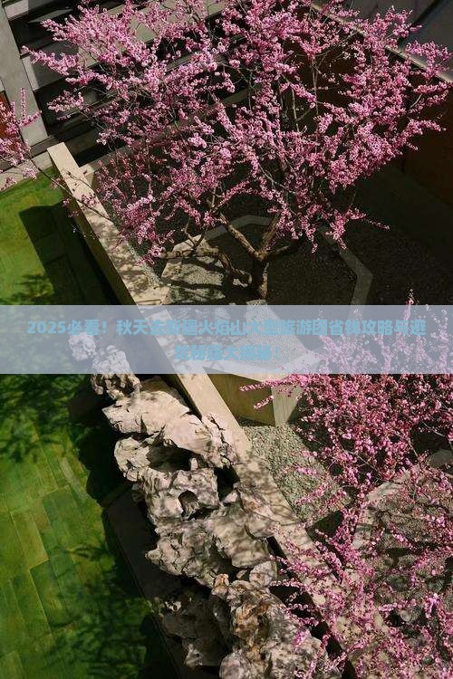 秋天去新疆火焰山大型旅游团 秋天去新疆火焰山大型旅游团