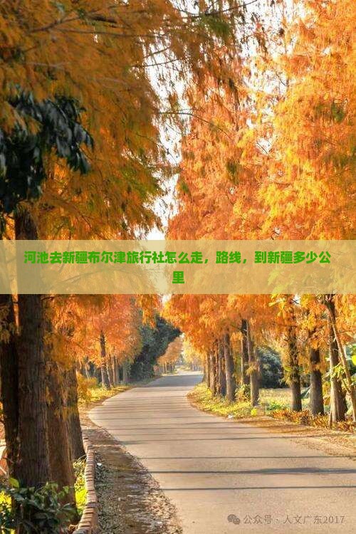 河池去新疆布尔津旅行社