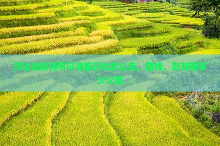 河池去新疆布尔津旅行社