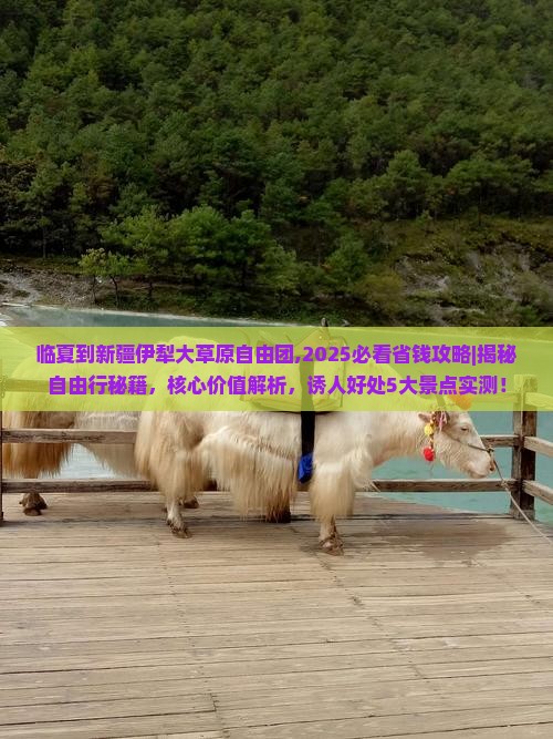 临夏到新疆伊犁大草原自由团