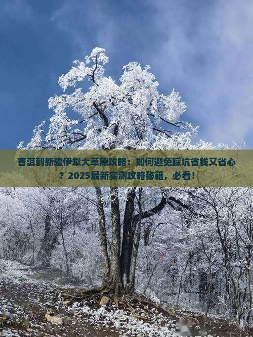 普洱到新疆伊犁大草原攻略