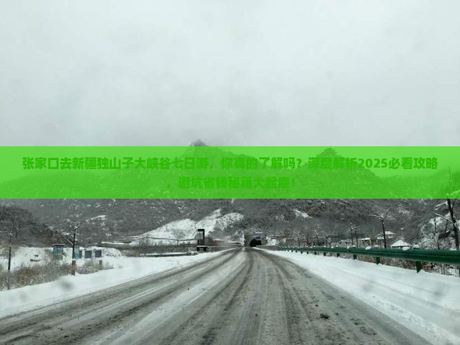 张家口去新疆独山子大峡谷七日游