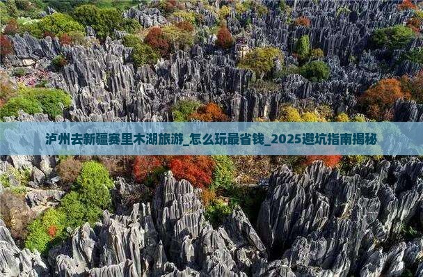 泸州去新疆赛里木湖旅游
