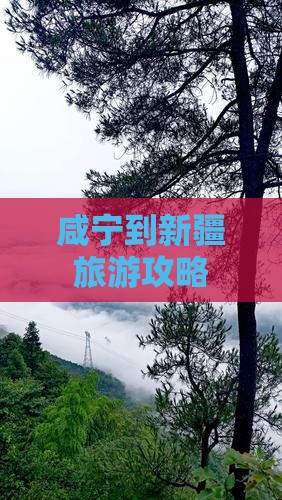 咸宁到新疆攻略