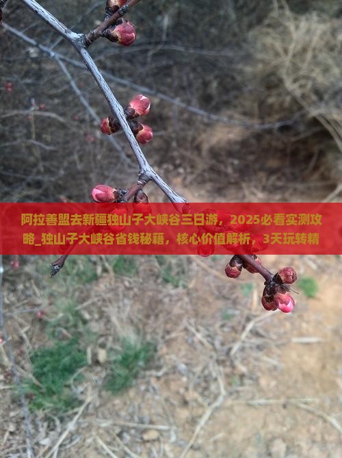 阿拉善盟去新疆独山子大峡谷三日游 阿拉善盟去新疆独山子大峡谷三日游