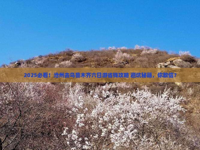 沧州去新疆乌鲁木齐六日游 沧州去新疆乌鲁木齐六日游