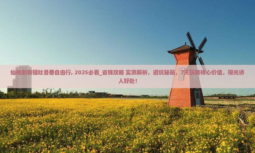 仙桃到新疆吐鲁番自由行