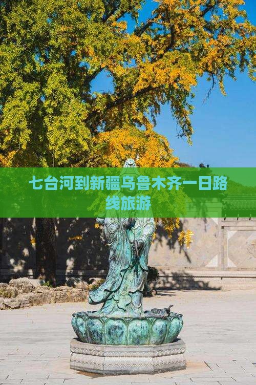 七台河到新疆乌鲁木齐一日
