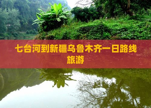 七台河到新疆乌鲁木齐一日