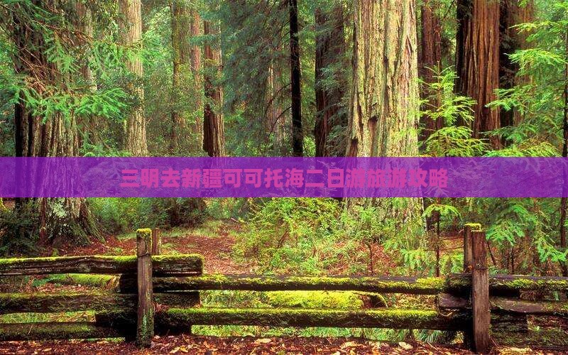 三明去新疆可可托海二日游