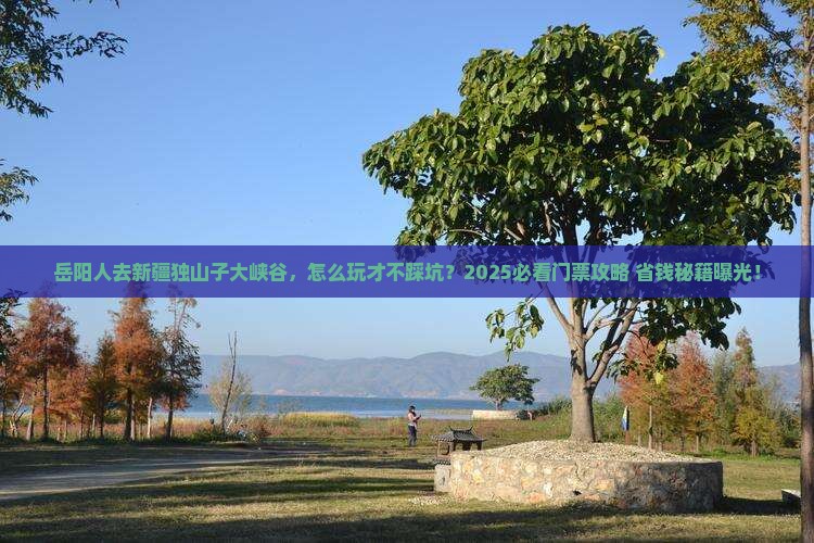 岳阳去新疆独山子大峡谷门票