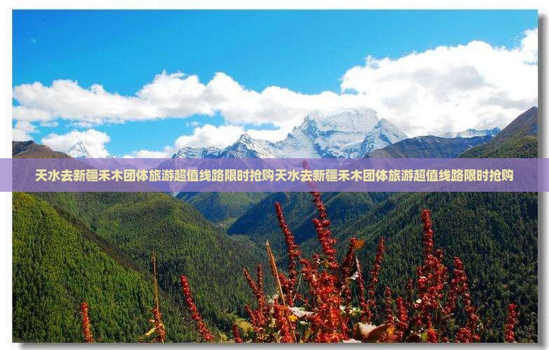 天水去新疆禾木团体旅游