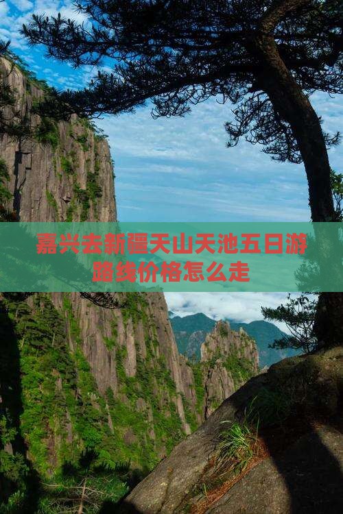 嘉兴去新疆天山天池五日游