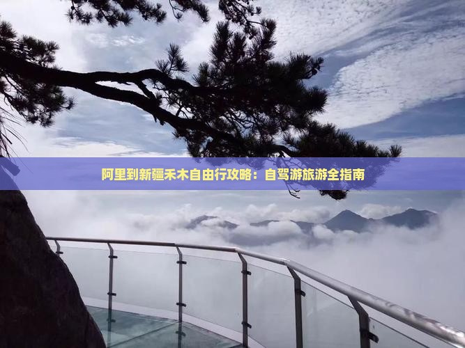 阿里到新疆禾木自由行