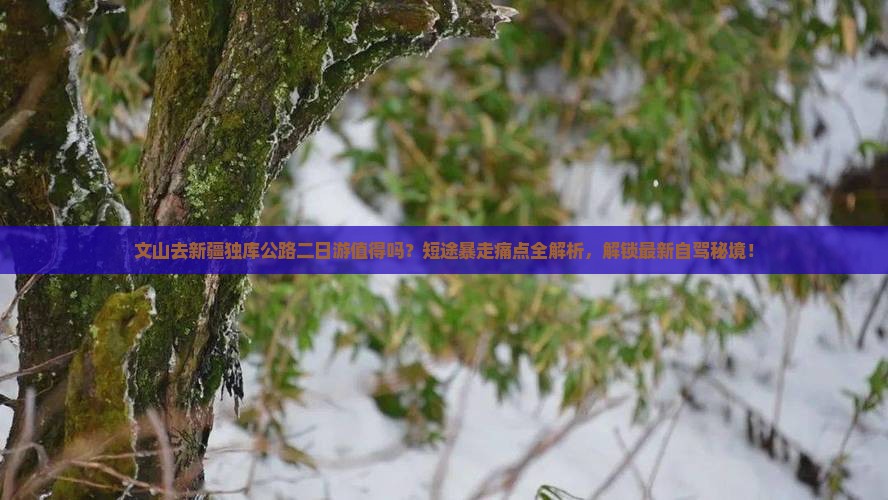 文山去新疆独库公路二日游