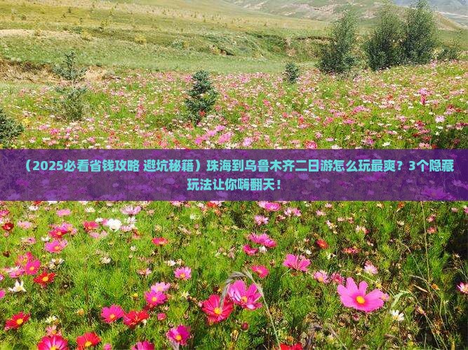 珠海到新疆乌鲁木齐二日游