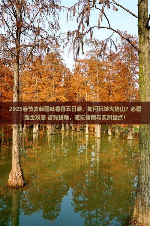 春节去新疆吐鲁番五日游