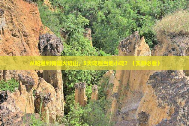 昭通到新疆火焰山旅游小吃