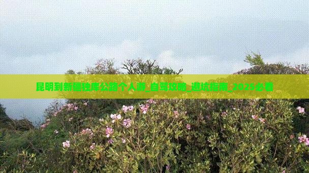 昆明到新疆独库公路个人游