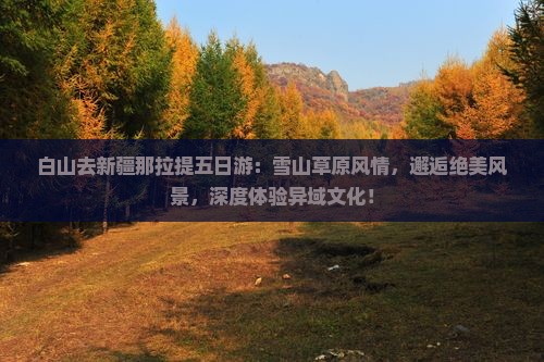 白山去新疆那拉提五日游