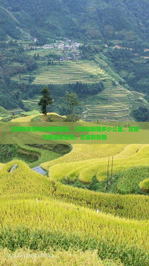 宣城到新疆喀纳斯哪里玩