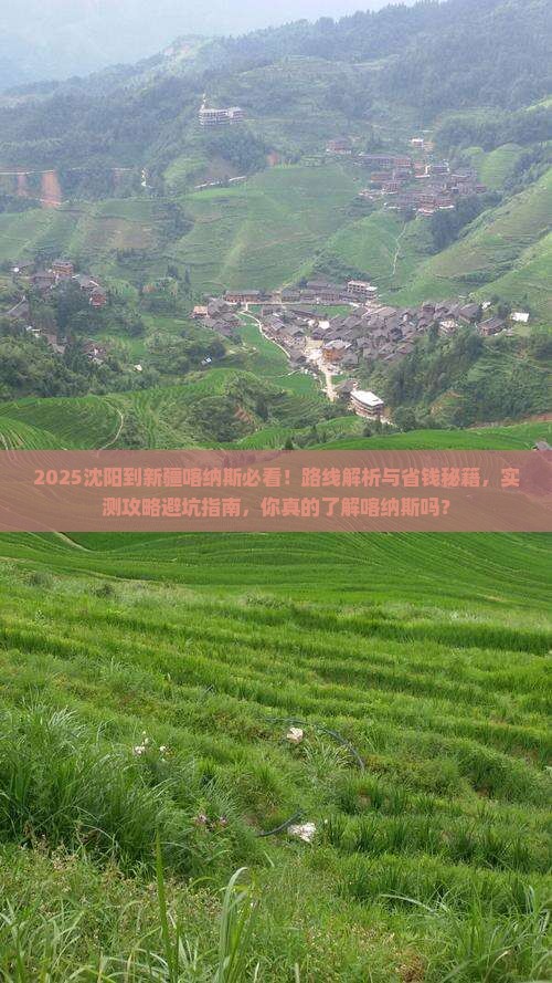 沈阳到新疆喀纳斯攻略