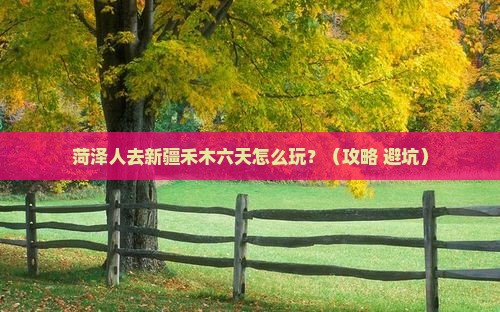 菏泽去新疆禾木六日游
