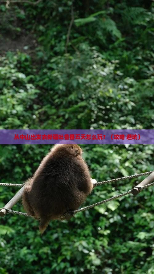 中山到新疆吐鲁番五日游 中山到新疆吐鲁番五日游
