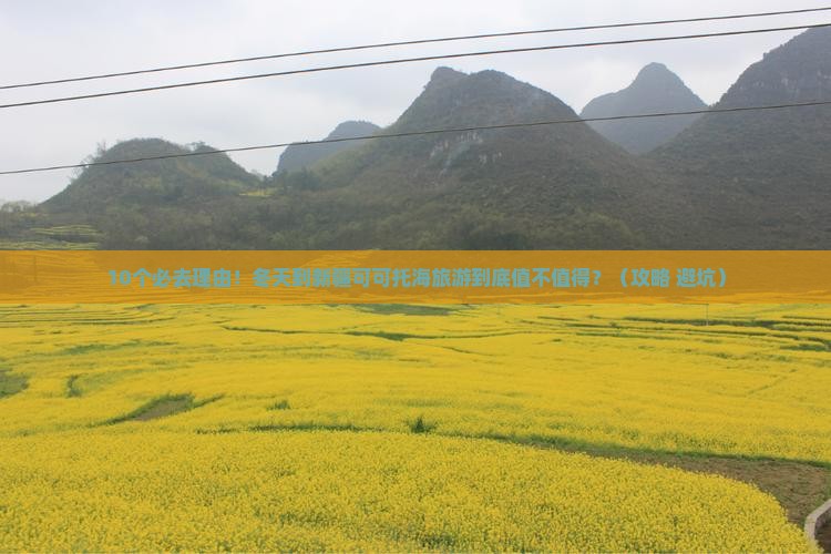 冬天到新疆可可托海旅游