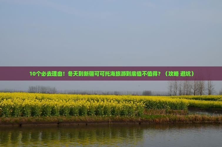 冬天到新疆可可托海旅游