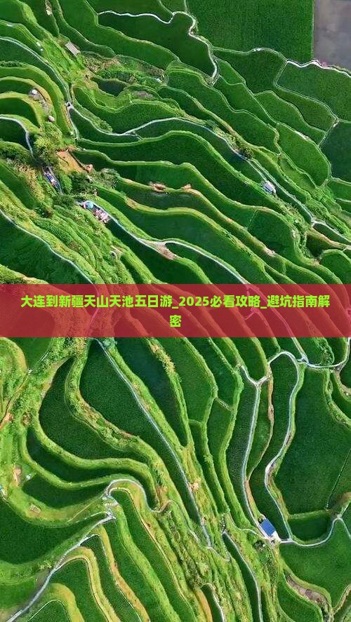 大连到新疆天山天池五日游