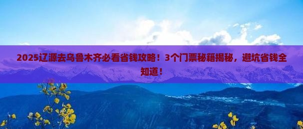 辽源到新疆乌鲁木齐门票