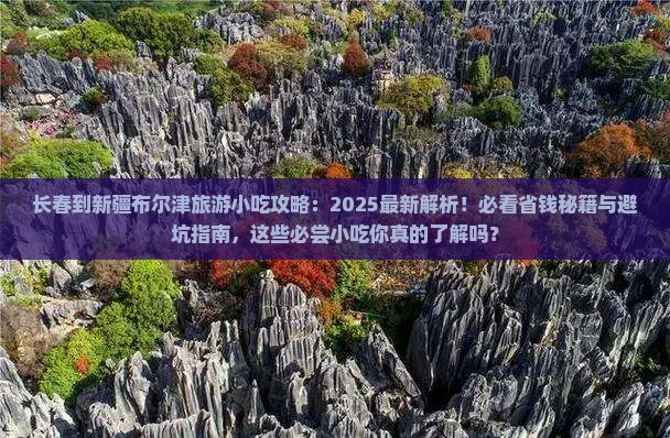 长春到新疆布尔津旅游小吃