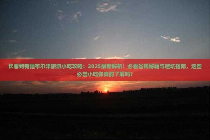长春到新疆布尔津旅游小吃